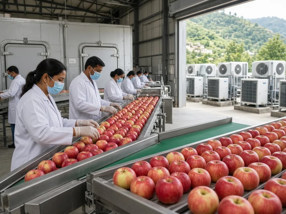 Indian fruit packhouse beside controlled atmosphere rooms